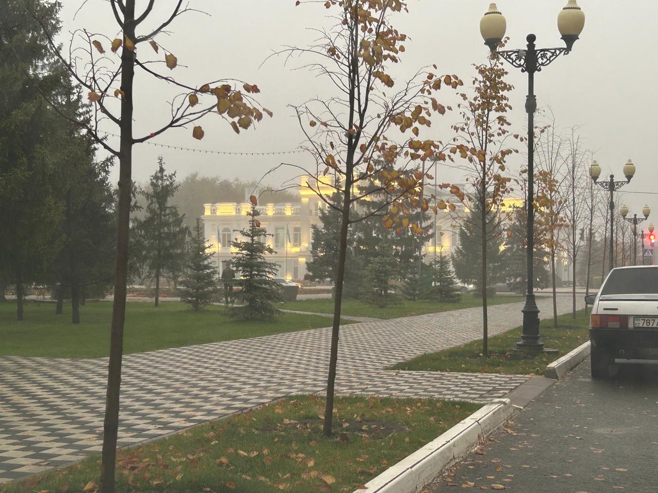 Ливневый дождь и туман прогнозируют в Уральске